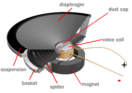 Neodymium Magnets in Speakers