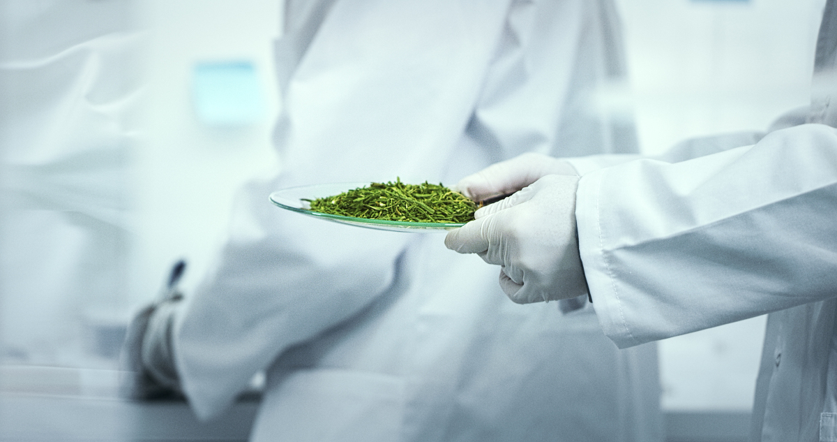 Plant Cellulose Used to Extract Neodymium from E-waste