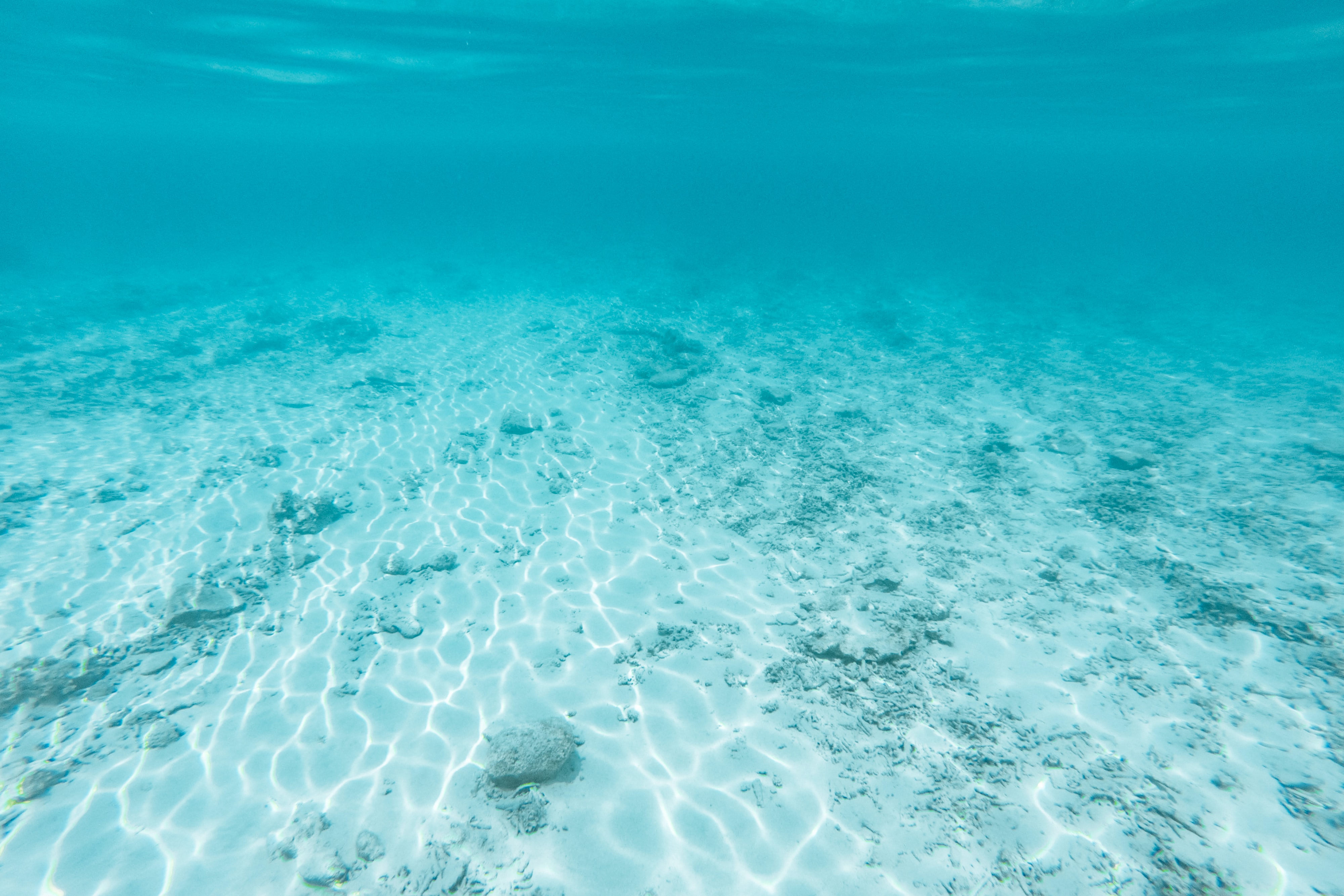 Japanese Development On REE Extraction Technologies From Sea Bottom.