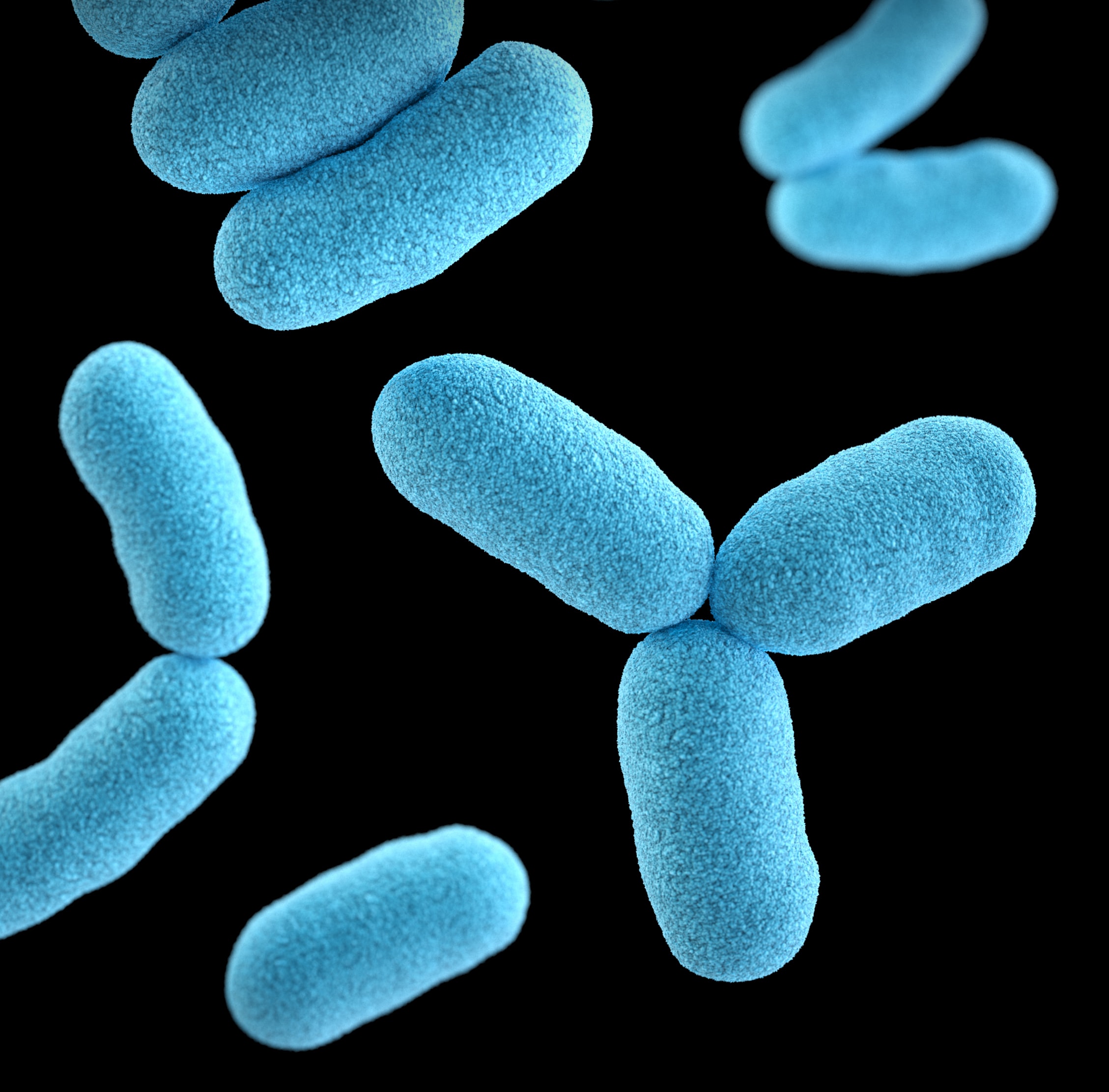 Extraction Of REE From Wastewater With The Help of Bacteria. What Do We Know About It?