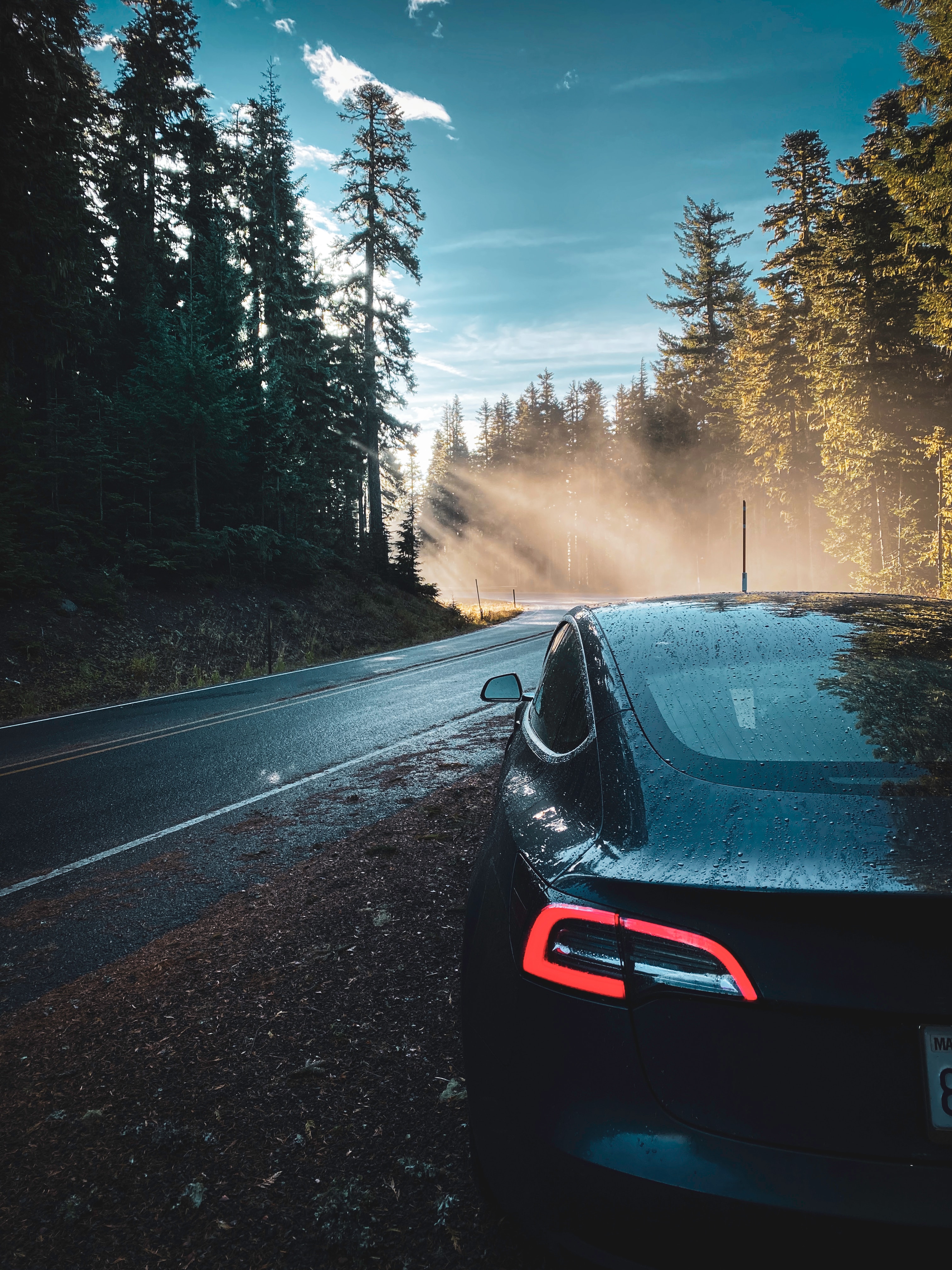 Publicity Stunt Or Can Tesla's Motors Be Really Free Of REE Elements ?