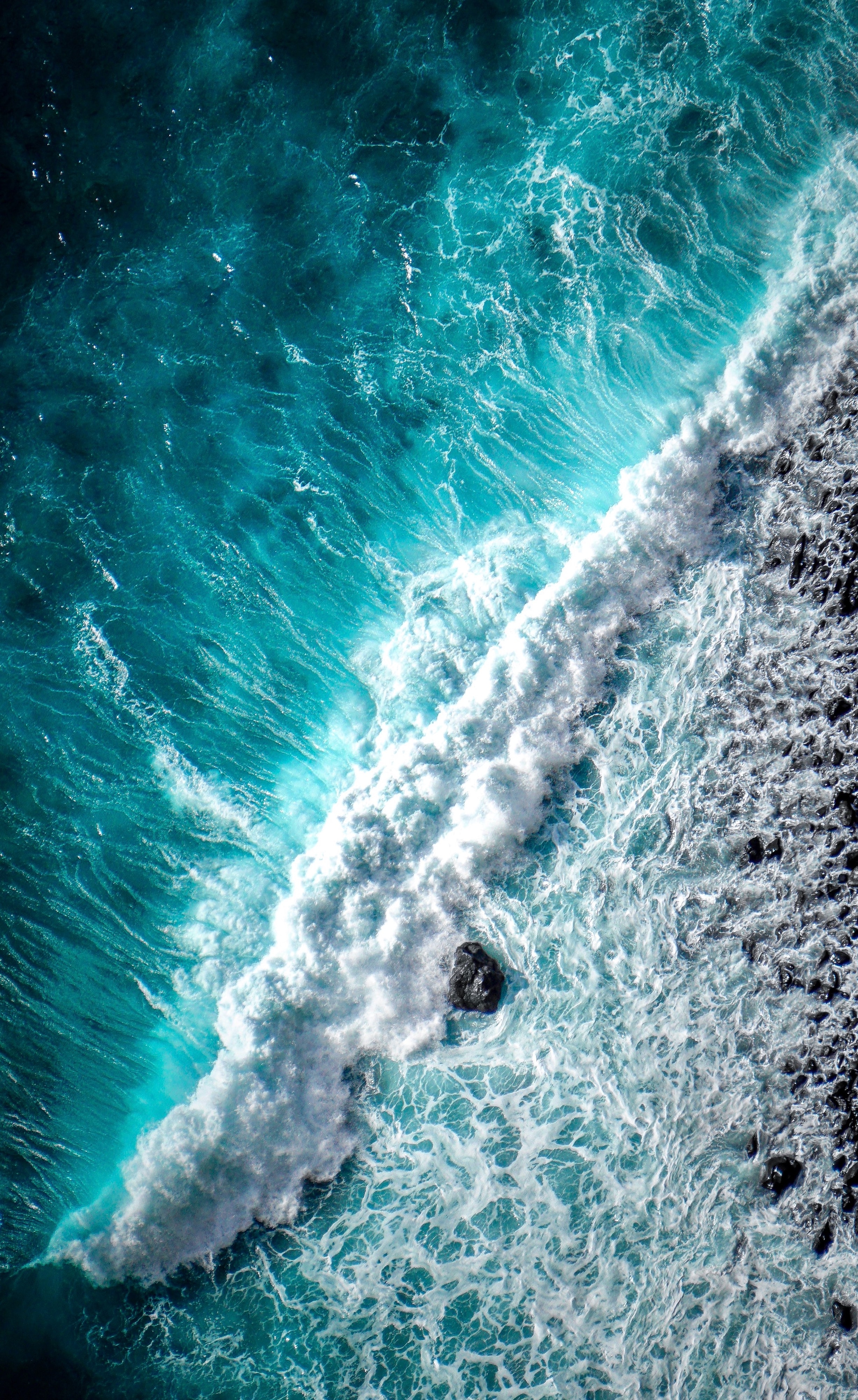 REE Can Be Extracted In A Sustainable Manner Thanks To Mussels.